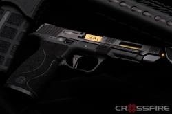 victran:  Salient Arms International M&P