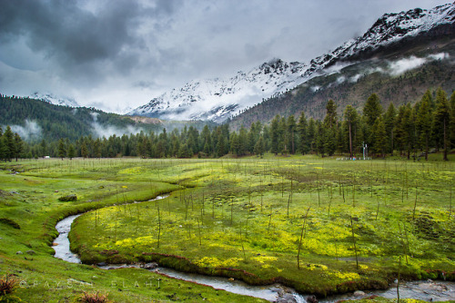 Rama Meadows, Astore, Pakistan.(Source)