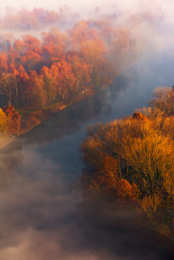 travelgurus:           Misty Autumn - by   Roberto Melotti at Airuno,  Italy                Travel Gurus - Follow for more Nature Photographies!  