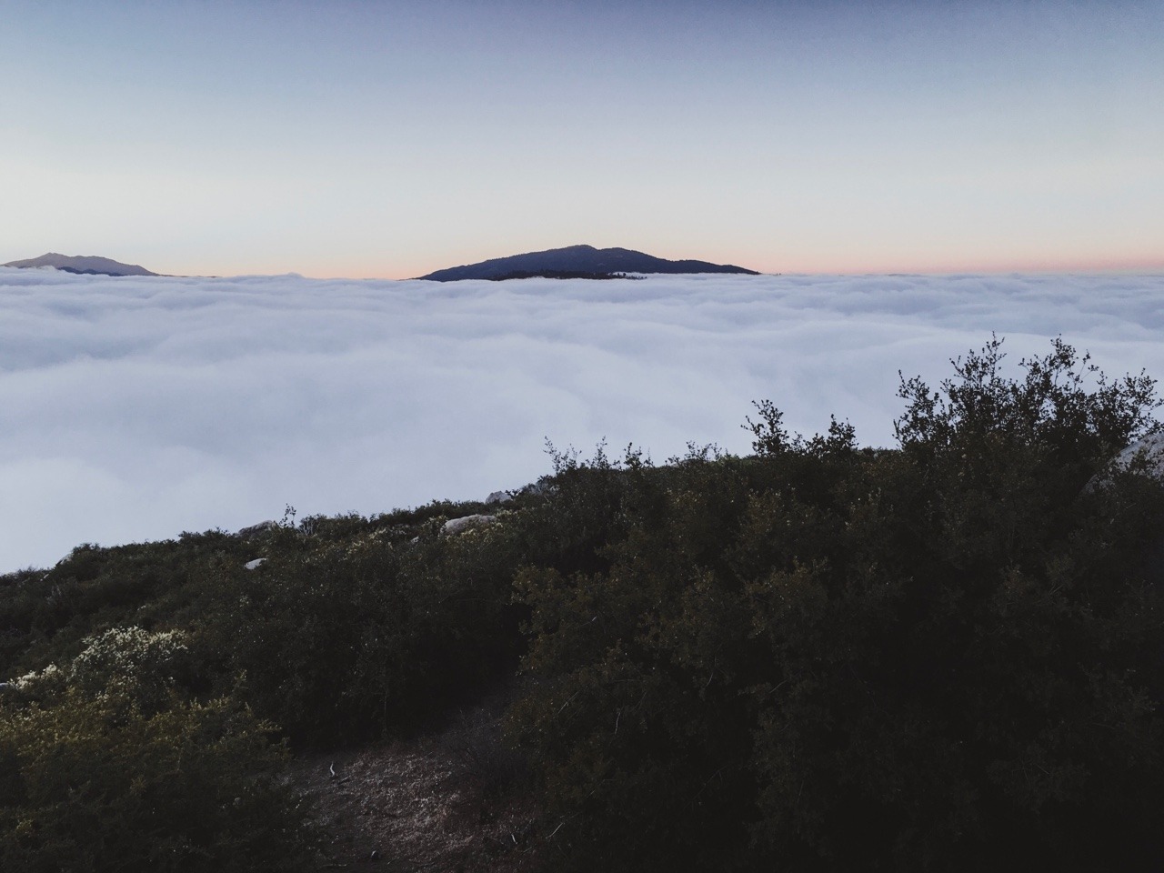 rononie: Sunrise / Idyllwild, ca
