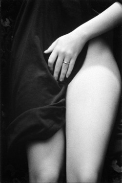Quello Che Cerchi