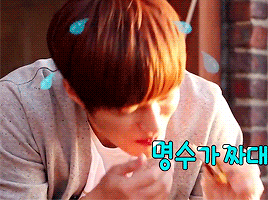satansooworld - myungsoo lovers