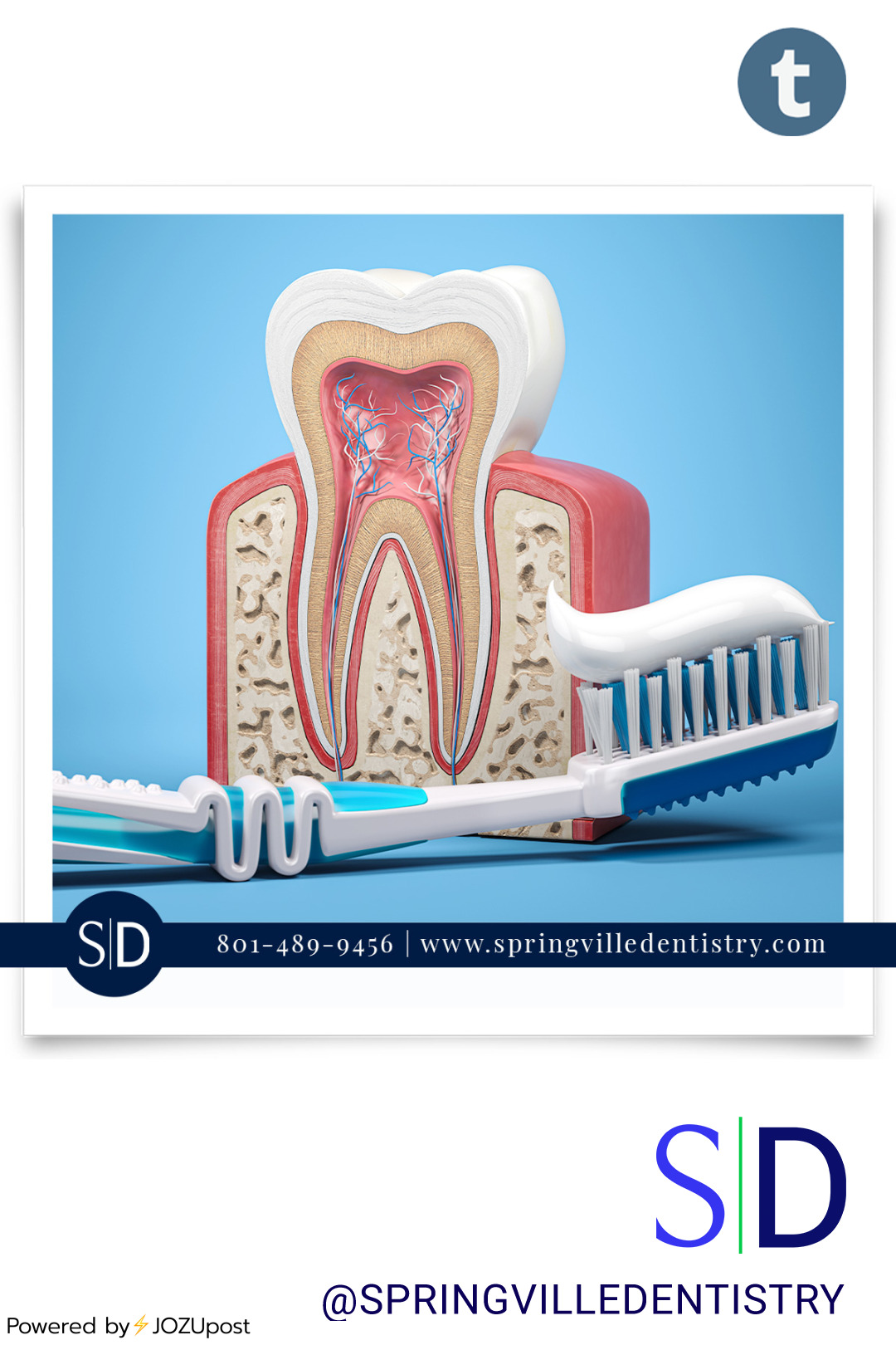 Discover the importance of tooth anatomy for optimal dental health. Teeth aren’t simply solid structures; they’re composed of enamel, dentin, and pulp - all vital to oral health. Enamel, the hard exterior, protects against physical forces and...