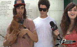 vans-warped-tour-2013:  Vic Fuentes + puppies