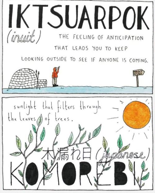 amandaonwriting:  11 Untranslatable Words From Other Cultures Follow the link for the source 