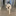 titytwochainz:  when u aint have ur phone for a long time and expect to come back