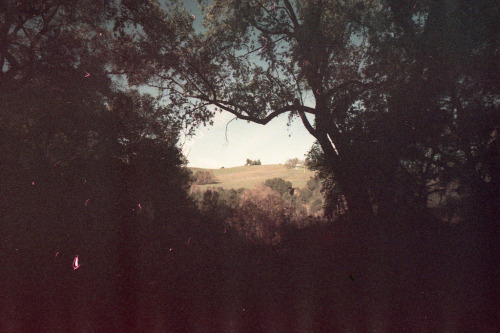 redwoodcollective:  (by Blob Oliver) 