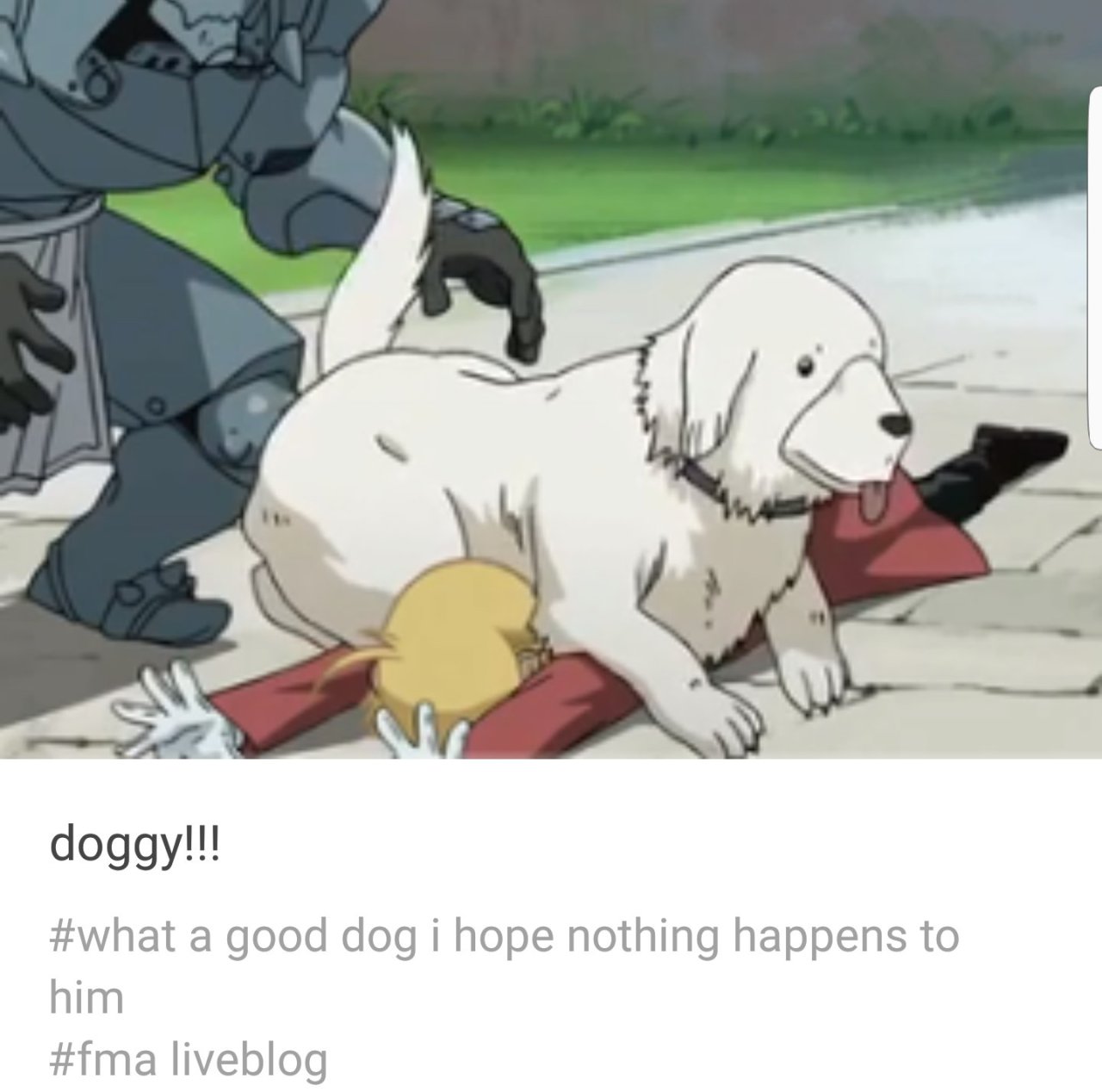 barduils: barduils: seeing people react to watching fullmetal alchemist for the first time with no prior exposure to the countless memes made about two specific events in particular to prepare them for what’s coming is an absolute classic that just