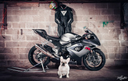 sexfoodbikesetc:  Suzuki GSX-R 1000 by joeydgraffix on Flickr.