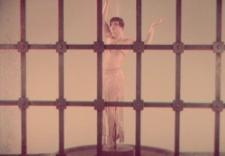 sumodaemon: The American Venus (1926) Director