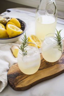 dustjacketattic:ginger & bourbon lemonade