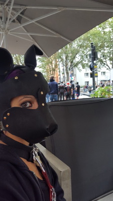 Pup-Rin:  Doggy-Girl-Chilli: Very Shy Nervous Puppy Girl This Morning At Folsom Berlin!