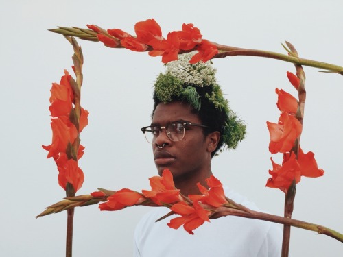 theflowerpapi: Flower Framed Perfection by Brandon Stanciell. Model: dinnerplatesofperfection Flower