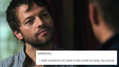 livebloggingmydescentintomadness:  Cas + text posts Previously:Dean + text postsDestiel + text posts 