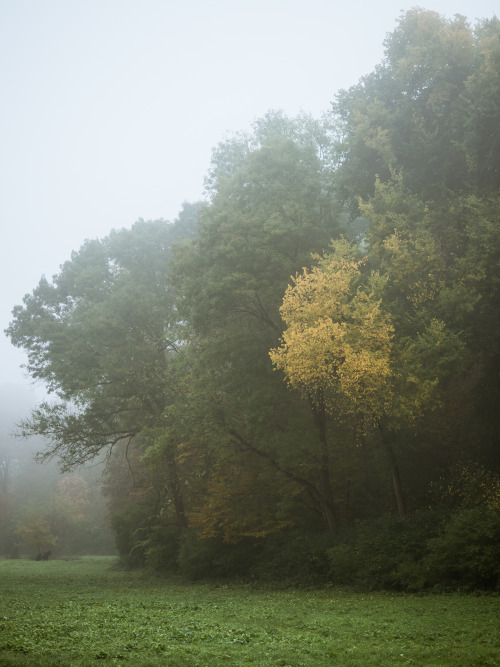 florianpainke:rider in the mist