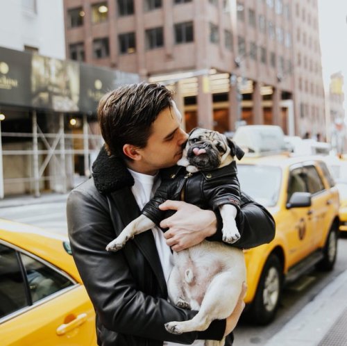 fuckyeahantoniporowski: Antoni + Doug the Pug