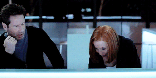 i-heart-scully:a rare and beautiful thing.