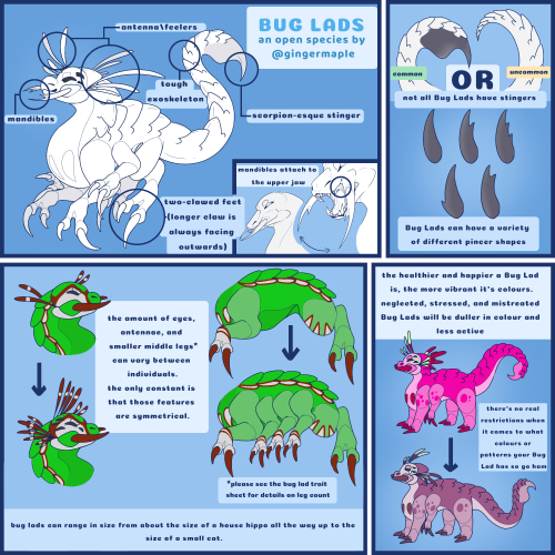 I posted about this a while ago but it’s finally here:!!! BUG LADS !!!Trait Sheet: (Coming soo