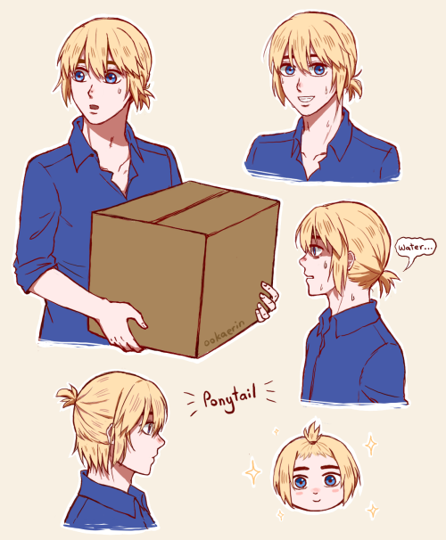 ponytail armin