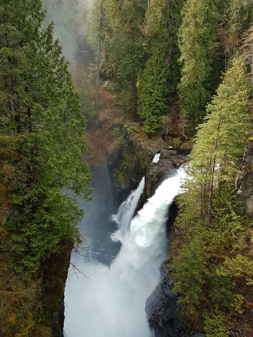 hikingvancouverisland: Elk Falls (Campbell River) March 19 2018 From all angles / \