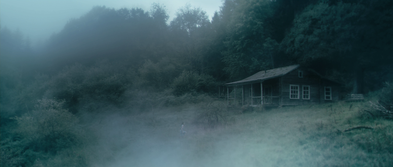 abderrahmane-sissako:  Antichrist (2009)