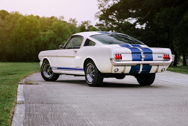 Ford Mustangs