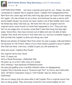 jpierrepontcriss:  storeboughtisfine:  busket:  CAPTAIN RON BACK STORY!!!  this is so touching   