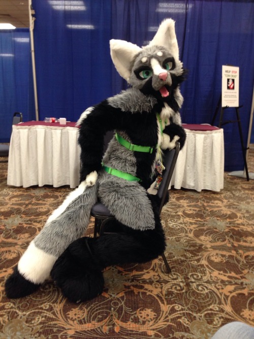 Some photo&rsquo;s of Senka causing havoc at BLFC 2014. Was an amazing con and I look forward to