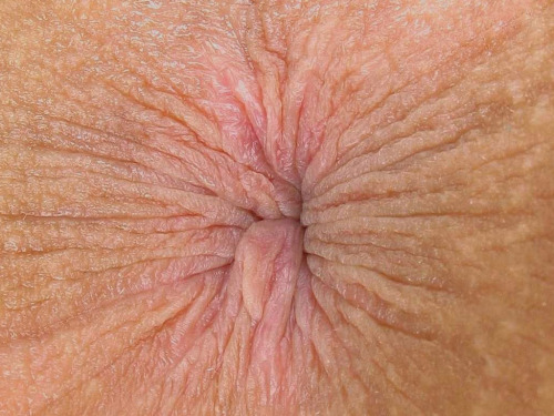 kinghut:  The best hole in the universe