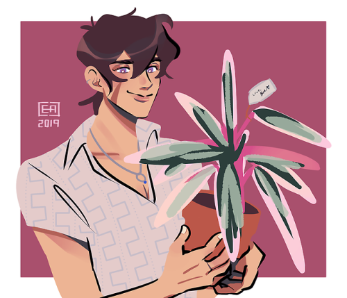 celebrating spring with this very self indulgent calathea feat. keith