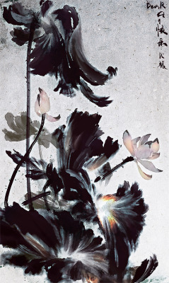 Lotus — by Ming
