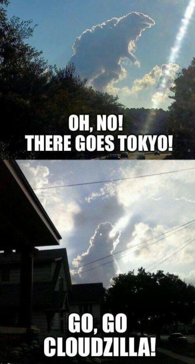 Go cloudzilla