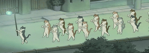 our-awkward-life:Funny posts you’ll love!