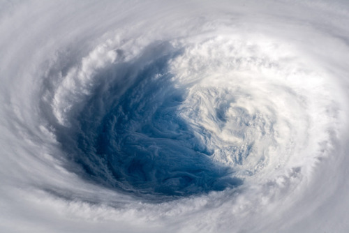 nevver:Super Typhoon