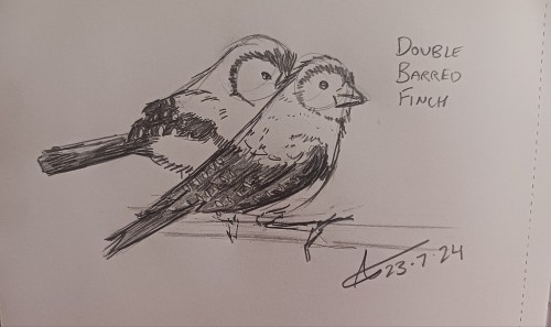 I Would Like An Order Of Dodo, Kelenken (terror Bird) OR Two Of The Galapagos Finches.