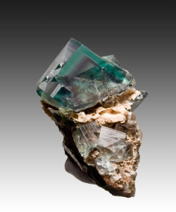 witchedways:  mineralists:  Fluorite on Matrix Blue Circle Cement Quarry, England  bewitched forest 