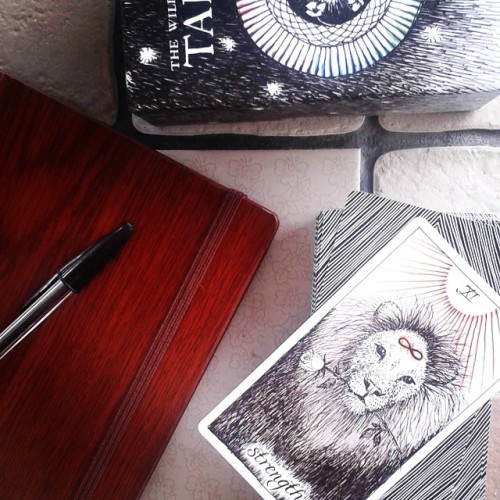 #homesweethome #pagan #tarot #tarotcards #thewildunknowntarot #witchlife #lion #strenght #relax #car