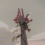 thebrokenheartedclub