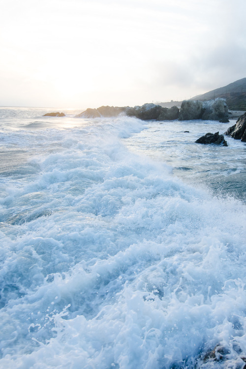 livingyoungwildfree:  Endless summer
