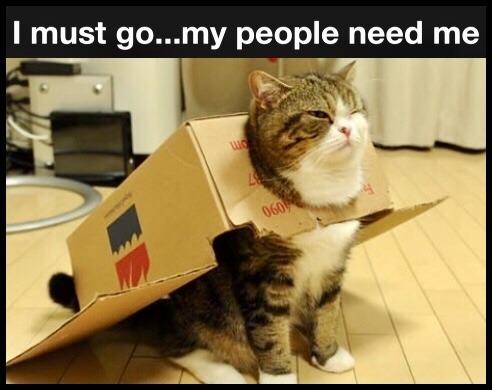 googleme420: