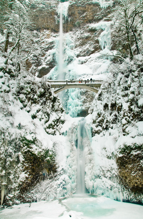 4nimalparty:  Multonomah Falls Ice and Snow (by Marshall Alsup)
