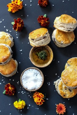 annabellafood:ORANGE-CURRANT SCONES