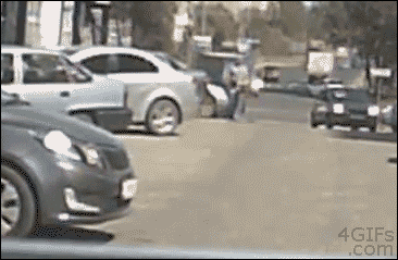4gifs:  Remember to wear your seat belt