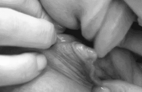 a-cunning-linguist-13:  Oh my…she is hyper aroused… 