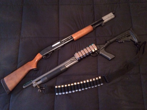 rtf-j:  The Remington M870 I built and my Western Field (store branded Mossberg 500) which we chopped to 18”, and parked/cerakoted. Knoxx stock, Truglo front sight. Esstac side saddle(s) and a Blackhawk sling. Still need a Surefire forend… 