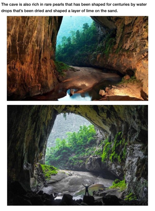 wigmund:  howling-rising-demon:  shameless-stinkhorn:  libertariantimes:(x)  It’s like something out of the Jumanji cartoon.  Are you kidding me this is El Dorado  You can take a virtual tour of the cave, going as far as one can without the need for