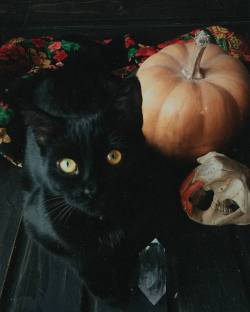 witchyautumns:  hellhelios  