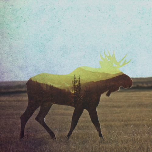victoriousvocabulary:  YĔ [adjective] 1. wild; untamed. 2. brutal. 3. rude; boorish. Etymology: Chinese 野. [Andreas Lie] 