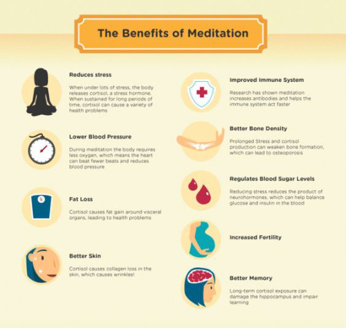 zengardenamaozn: Meditation tips. If you are interest in meditation, please check out.