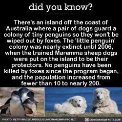 did-you-kno: There’s an island off the